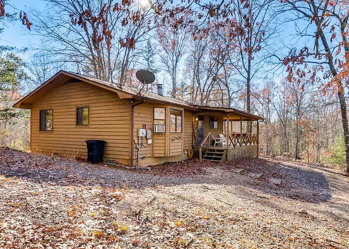 Birdwatching, Board Games & Bbqs: Cabin In Murphy!